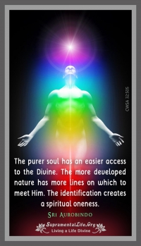 Purer Soul.jpg